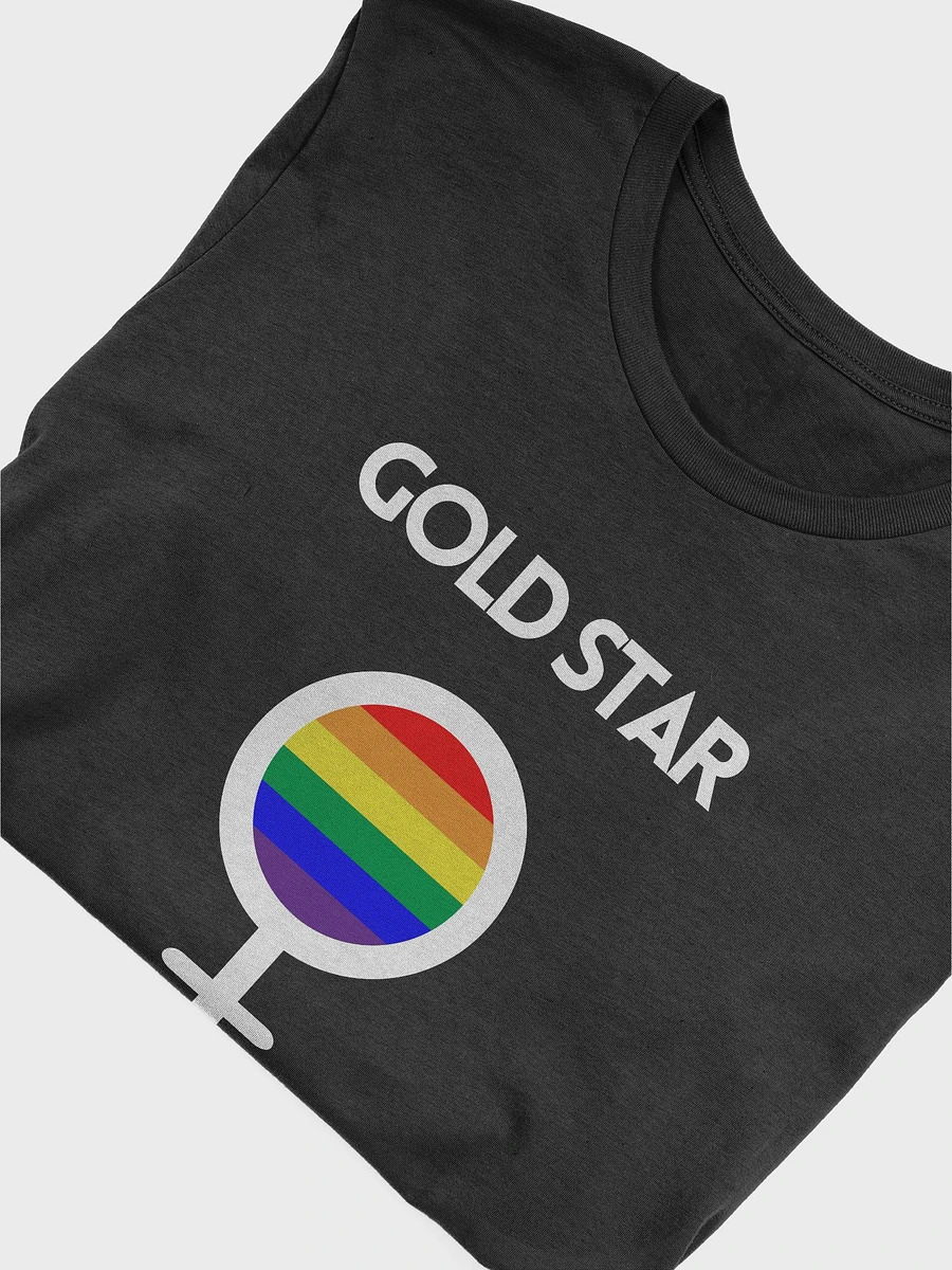 LGBTQ+ T-Shirt - Gold Star (dark) product image (5)