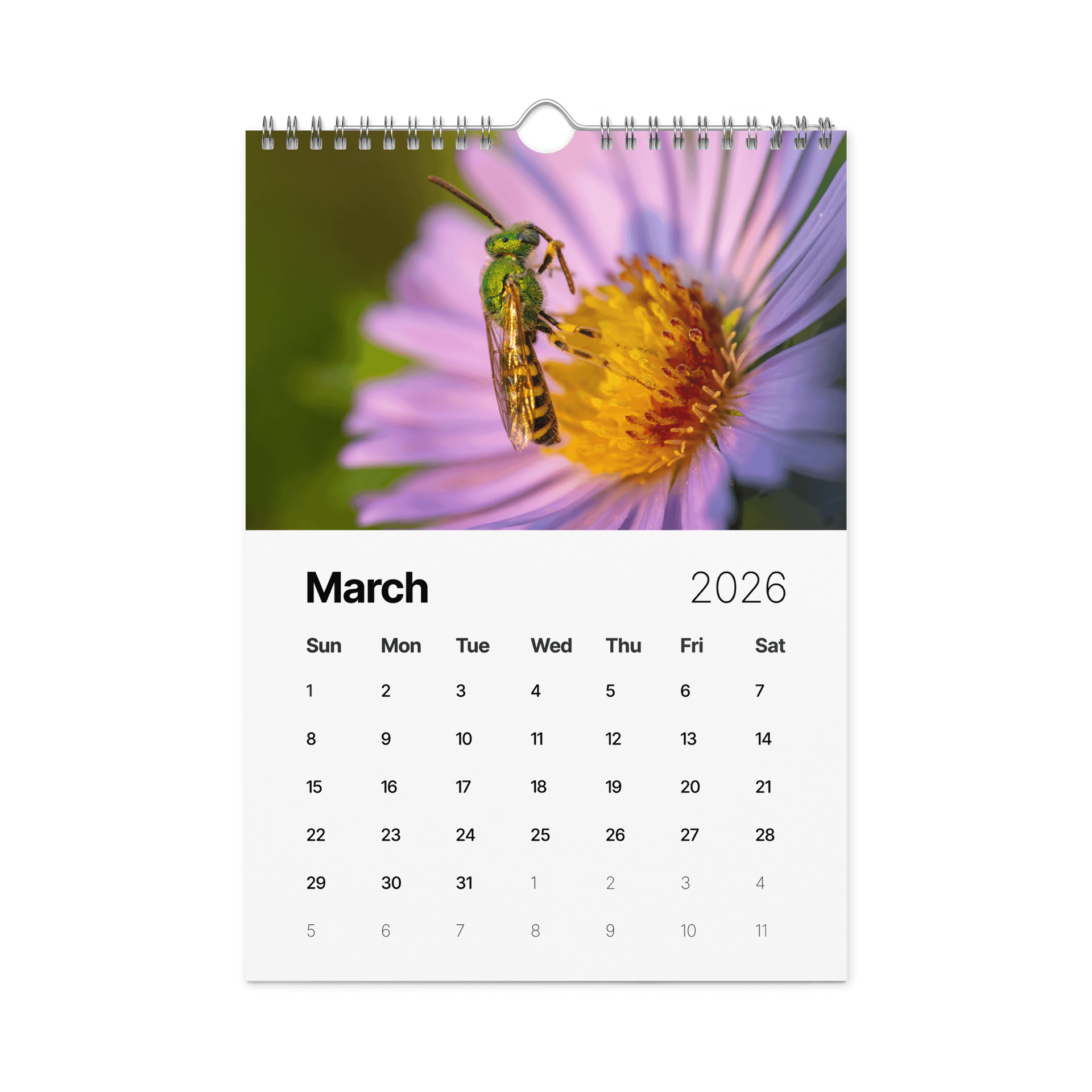 2026 Garden Bugs product image (4)