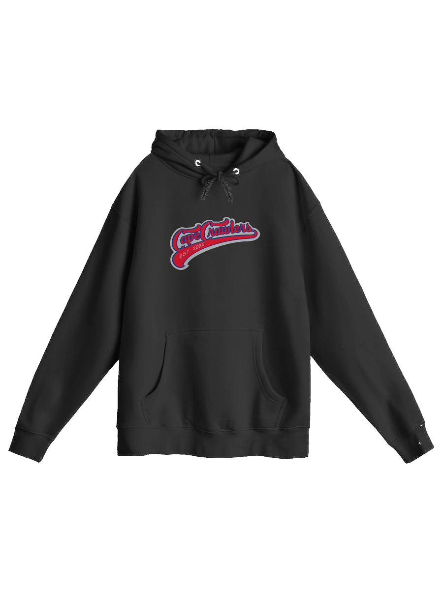 Varisty Logo (Red) Hoodie product image (1)