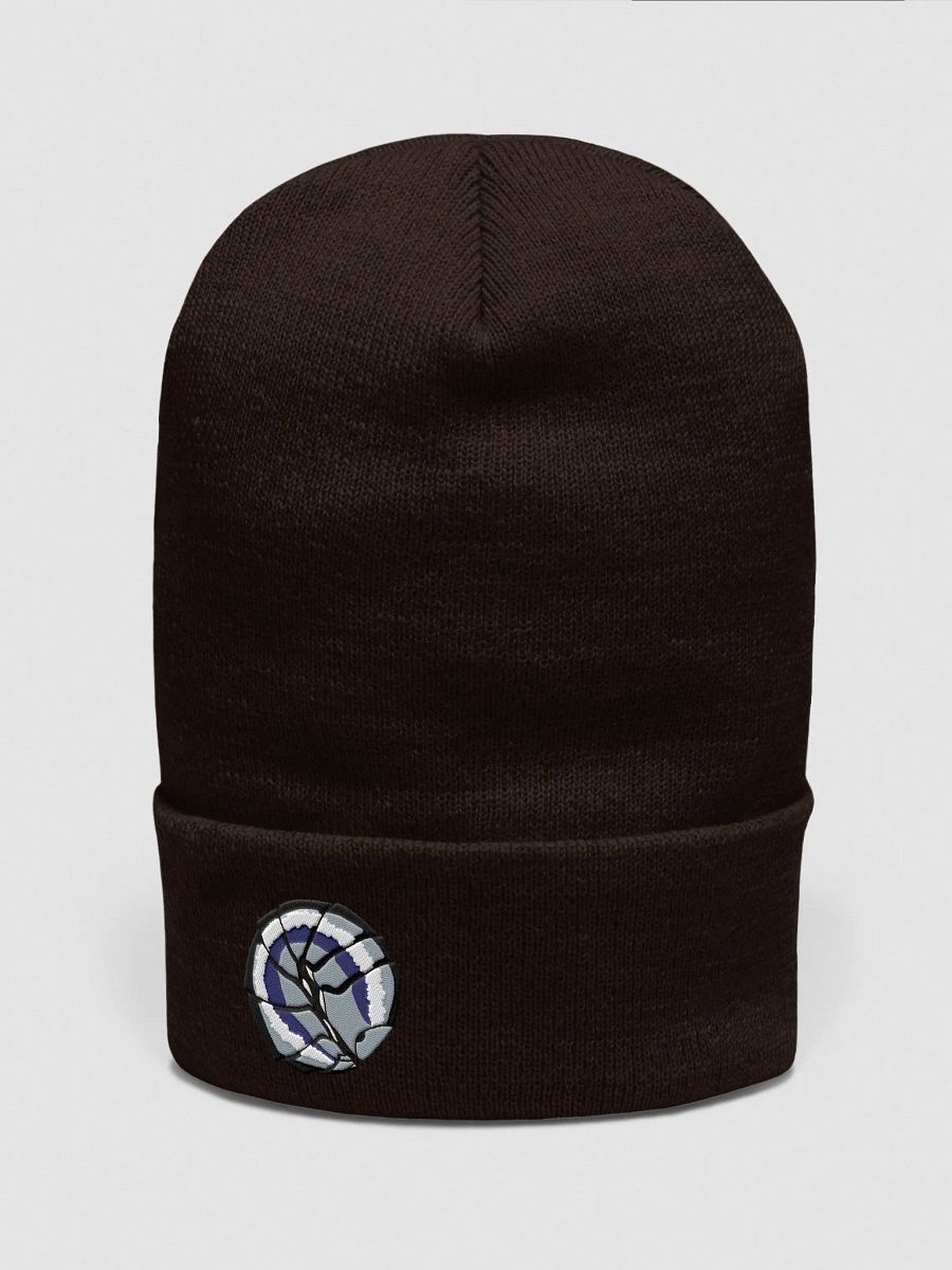 Balled Isopod Embrodiered Beanie product image (2)