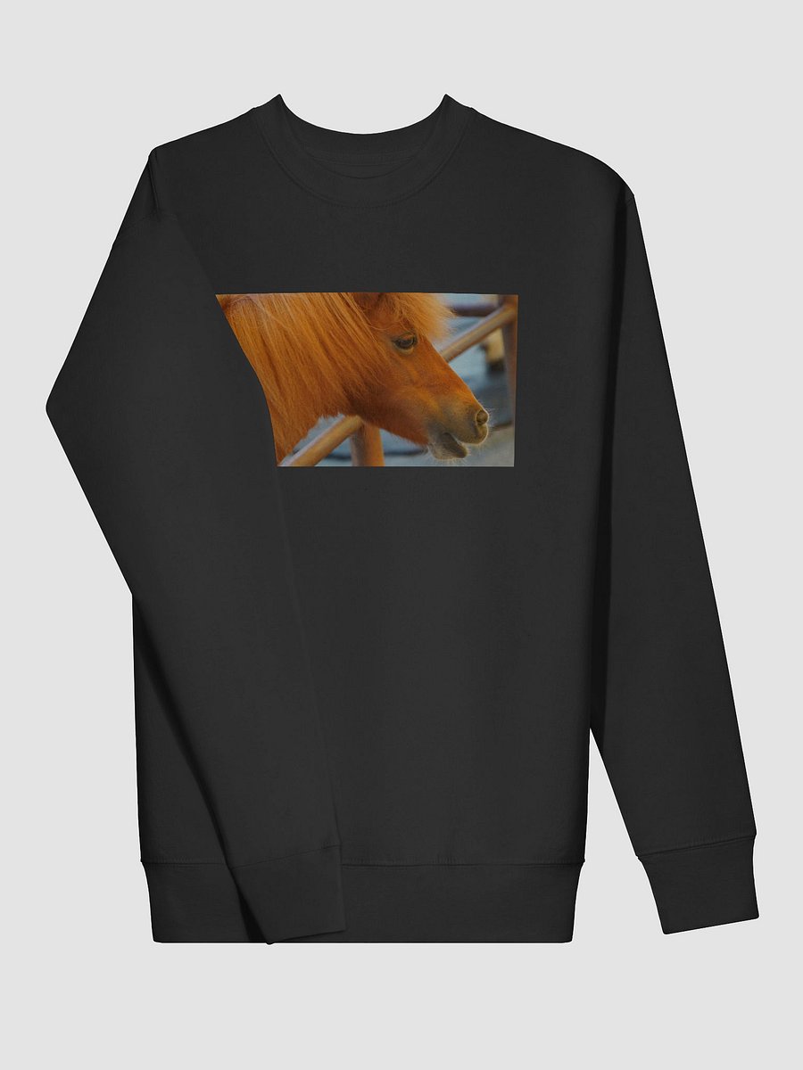 Majestic Mane Premium Sweatshirt product image (3)