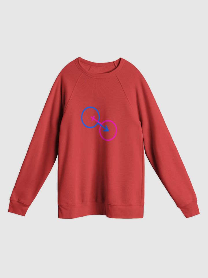 Interlinked Male & Female Symbol Unisex Raglan Sweatshirt product image (1)