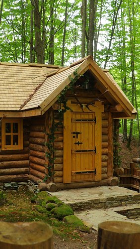 A small story from my life in the forest  #bushcraft #village #forest #survival #life