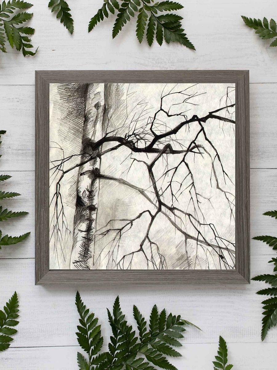 Birch Whispers Canvas - Birches product image (8)