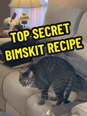 O’Malley caught me watching him making his morning bitey biscuits in my homework nest 🙀😬 #homework #biscuitfactory #biscuits #catsoftiktok #cats 