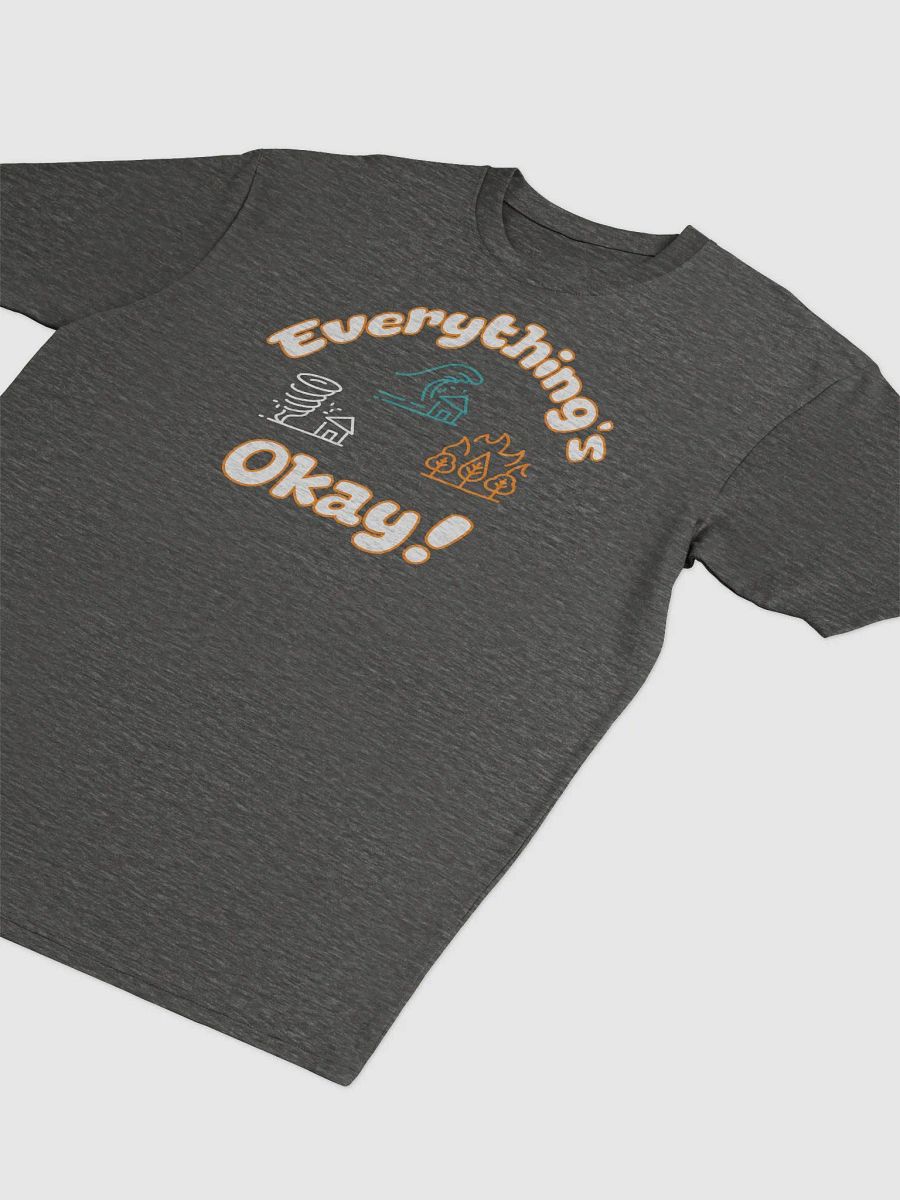 Everything's Okay! (Even When It's Not): A Tee for Our Times product image (3)