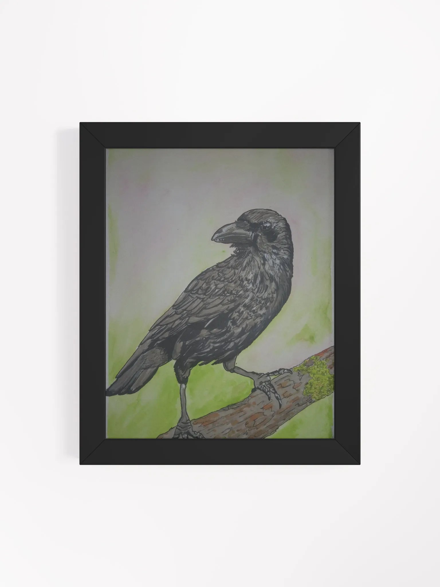 Corvid Series [00] Carrion crow framed print product image (4)