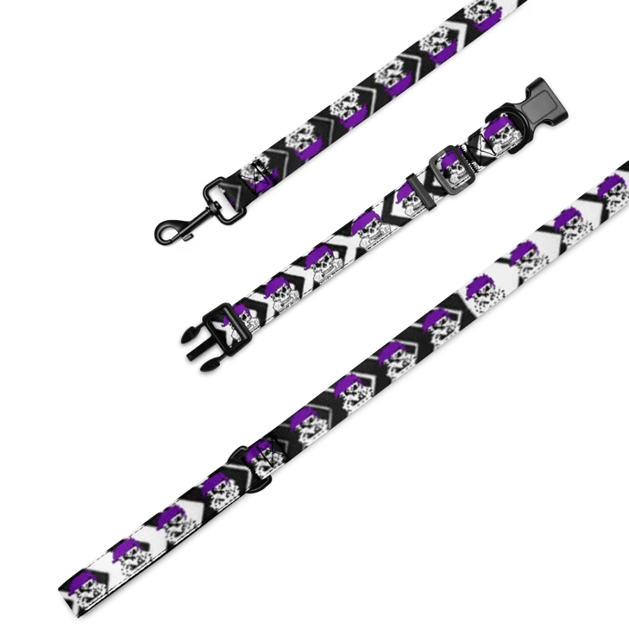 Enigma Nation Pet Collar & Leash product image (5)