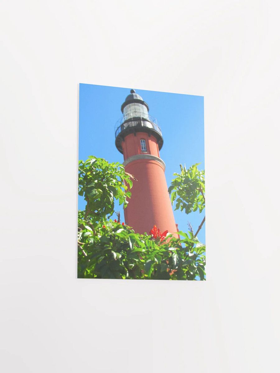 Light House w/ Cape Honeysuckle product image (36)