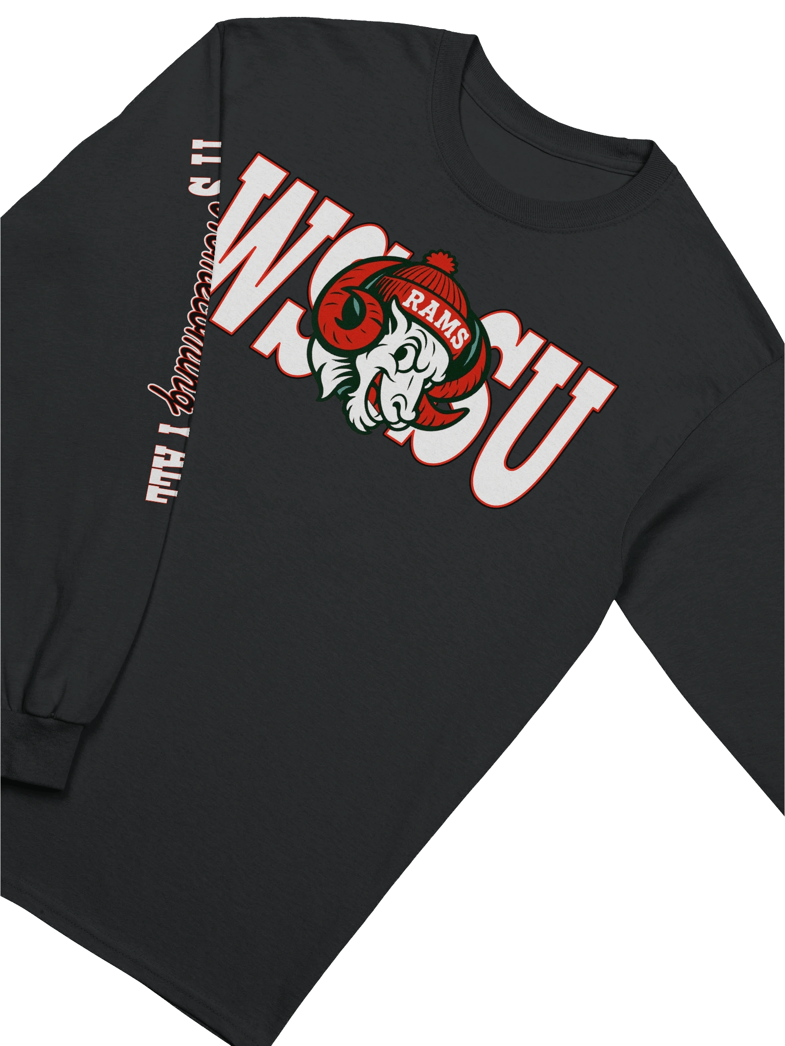 WSSU Homecoming '25 Long Sleeve product image (12)