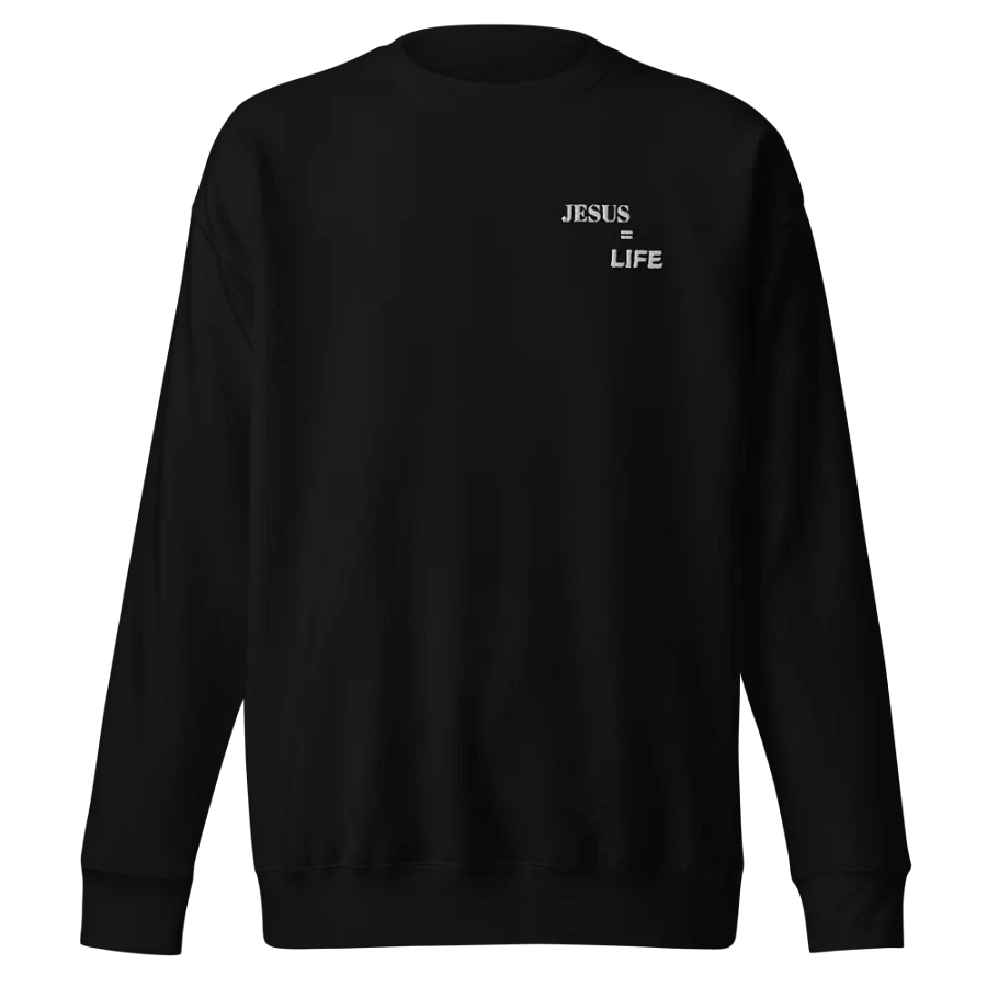 Sweatshirt product image (1)
