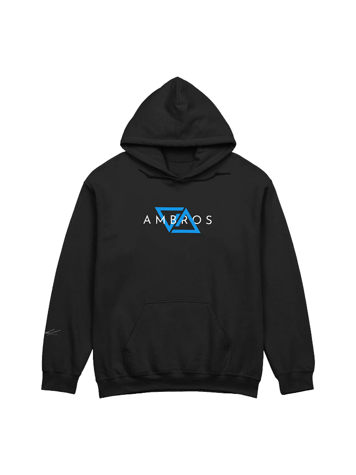 The Statement Hoodie product image (1)