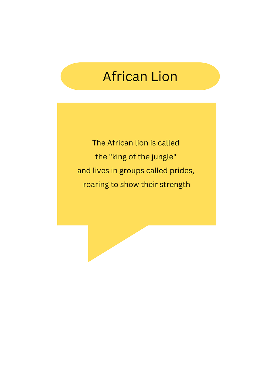 Coloring book,African animals. 40 Pages product image (9)
