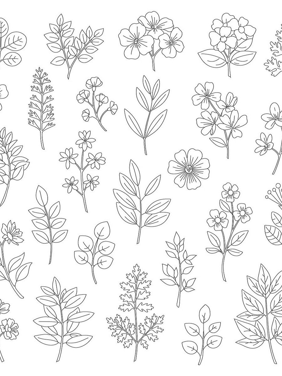 Botanical SVG Bundle: Hand-Drawn Floral Clipart & Leaf Doodles product image (6)