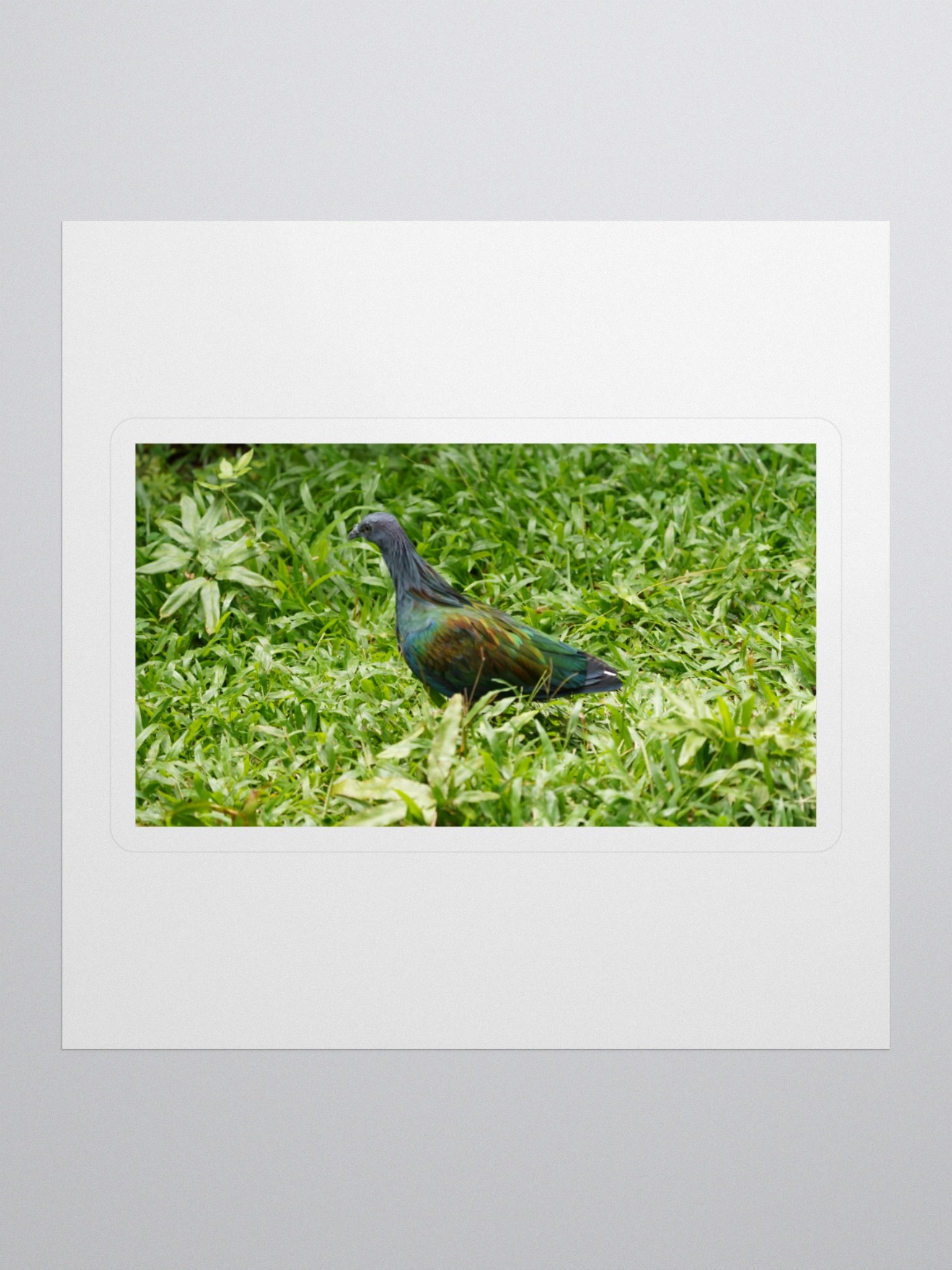 Iridescent Bird Kiss Cut Stickers product image (1)