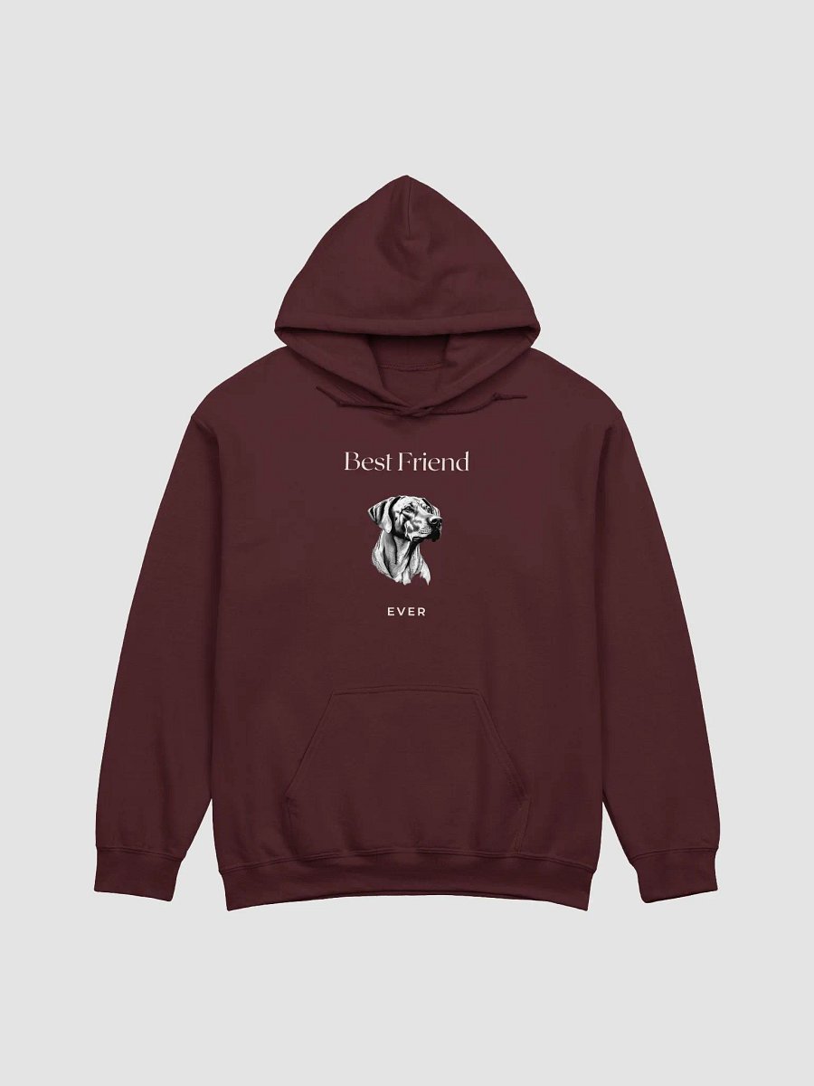 Rhodesian Ridgeback Best Friend Ever Hoodie product image (1)