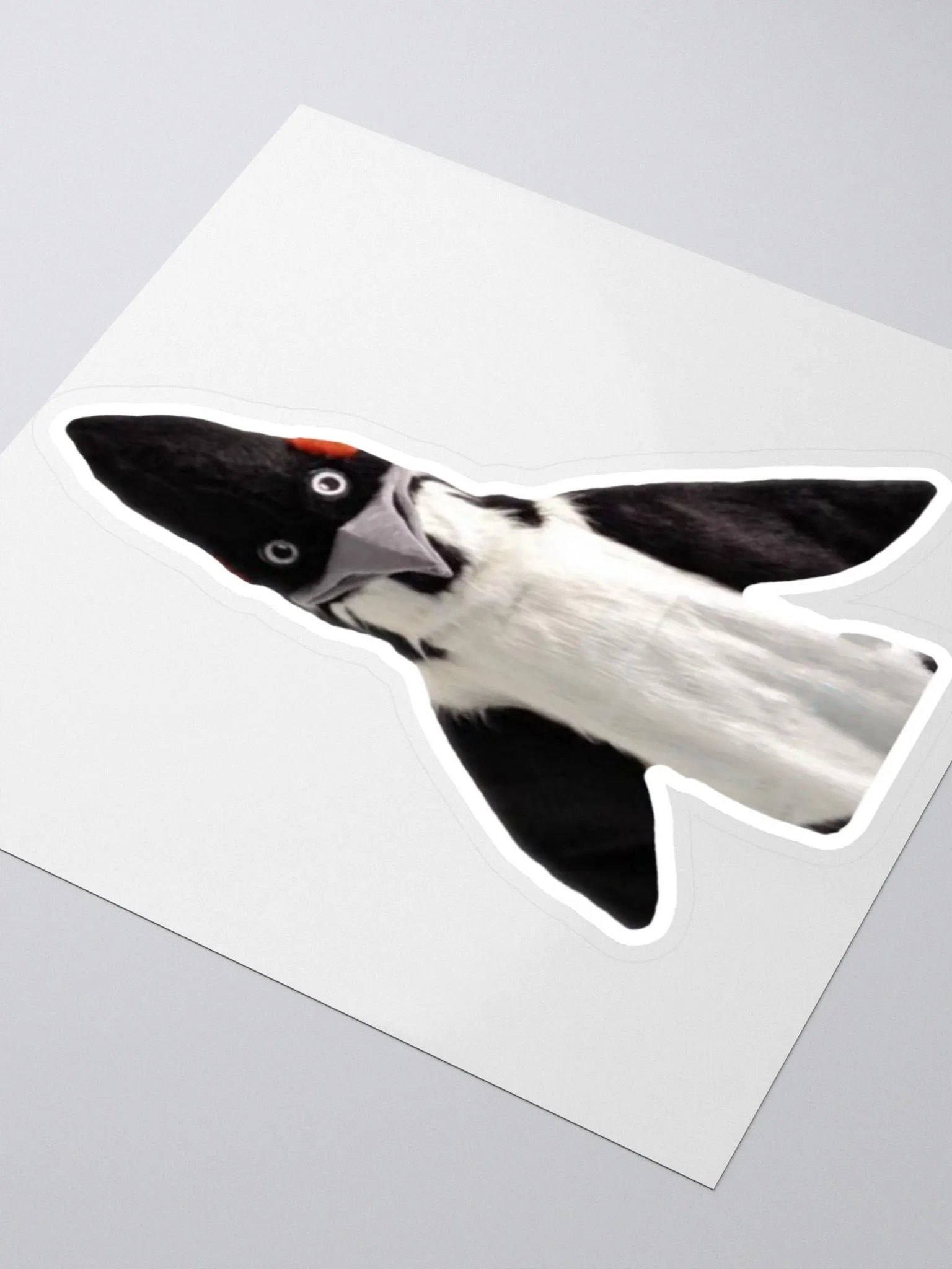 BIRD Sticker product image (3)