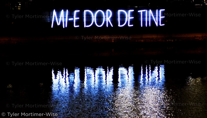 MI-E DOR DE TINE (Digital Photo) product image (1)