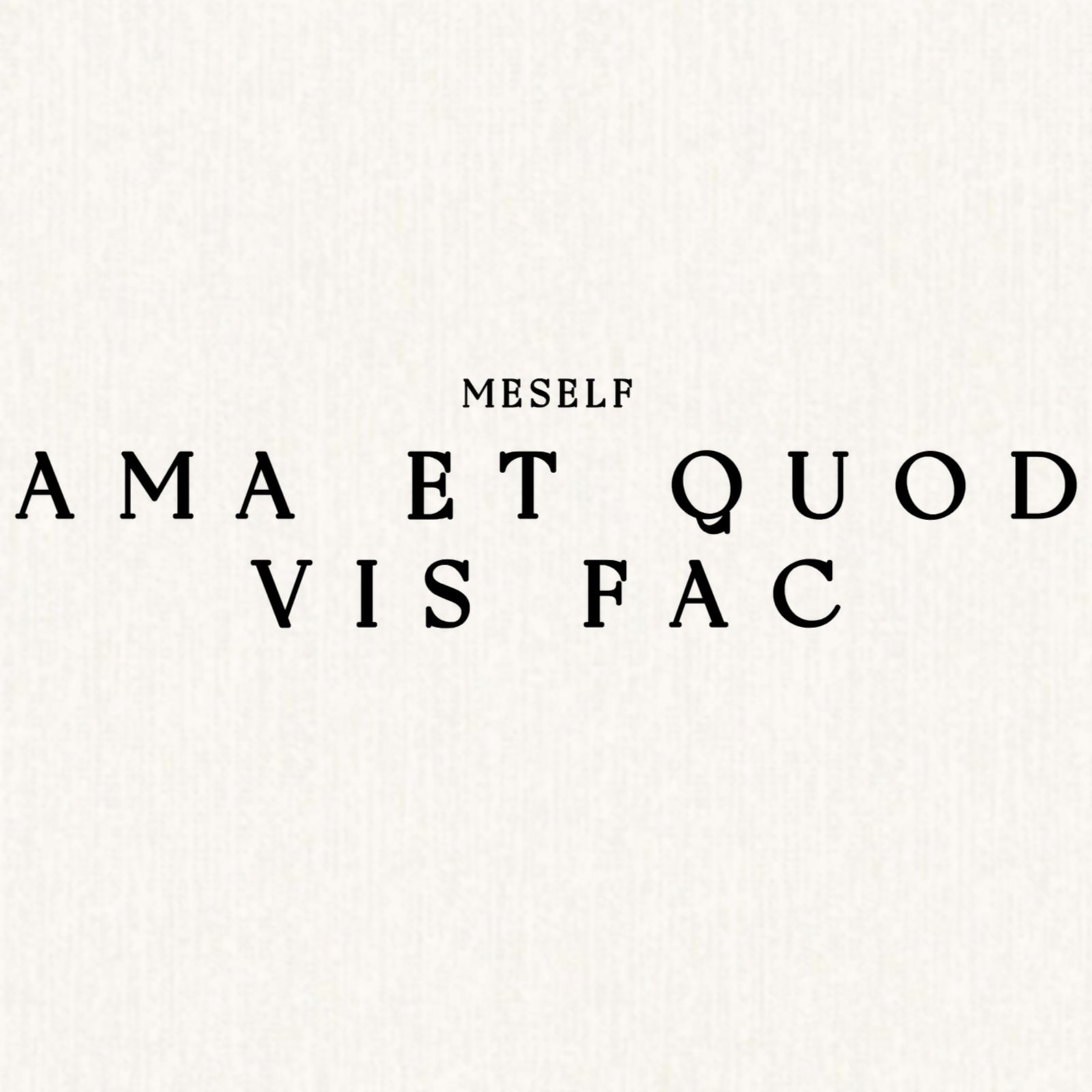 Ama Et Quod Vis Fac (Meself) product image (1)