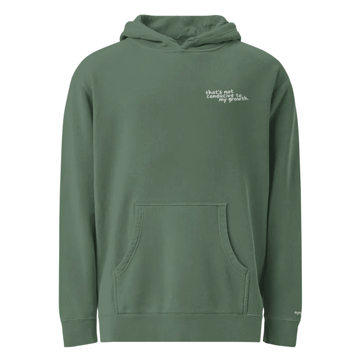 Conducive Hoodie (Embroidered) product image (1)