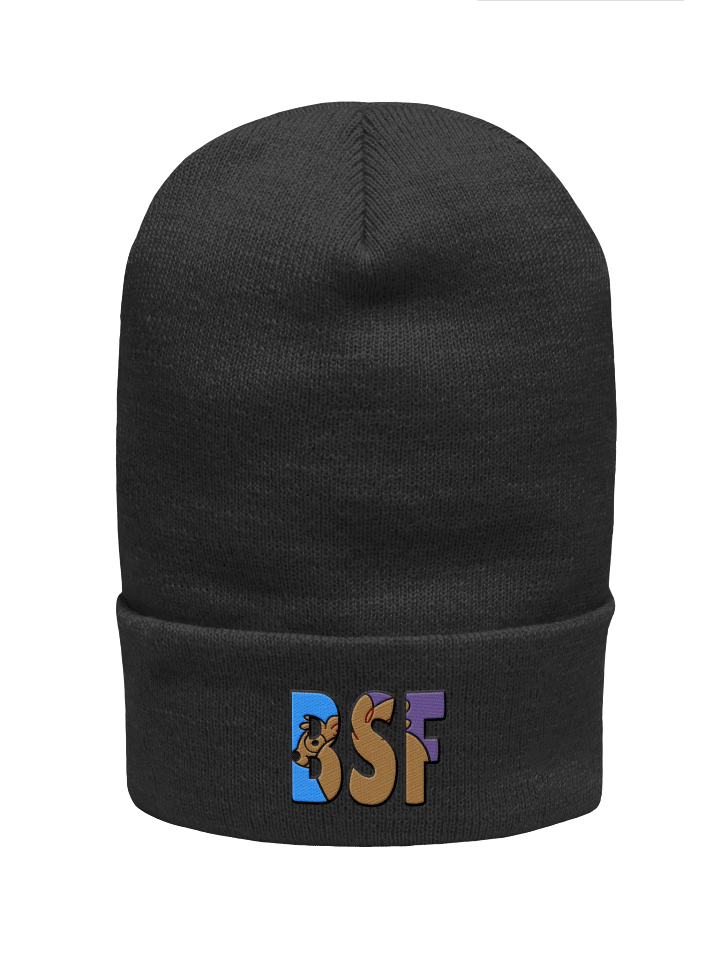 BSF Winter Hat product image (3)