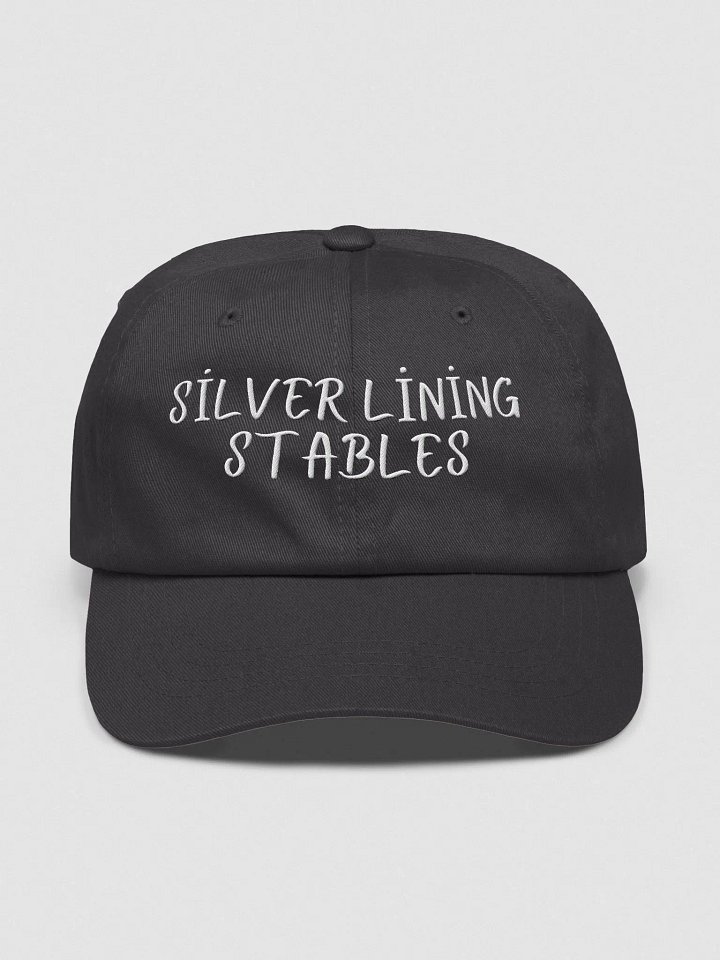 Classic Comfort Dad Hat product image (1)