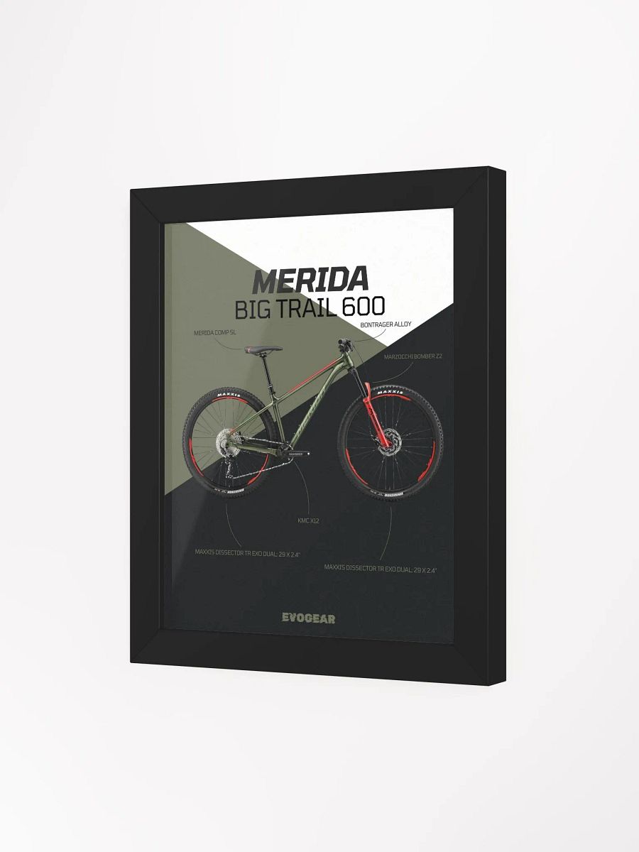 Merida Big Trail 600 Frame product image (15)