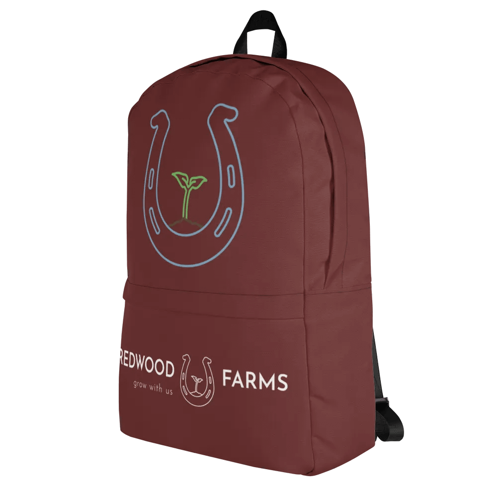 Back packs product image (3)
