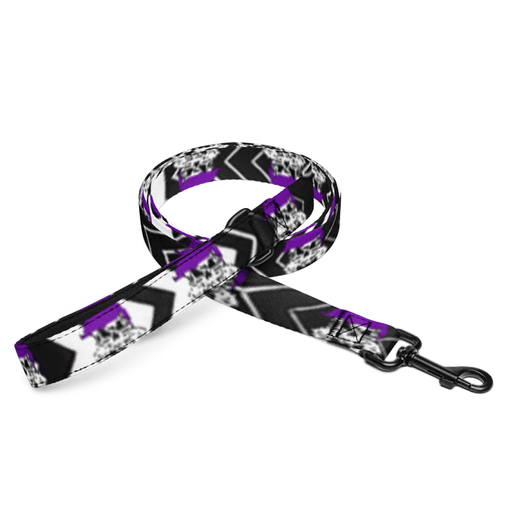 Enigma Nation Pet Leash product image (1)