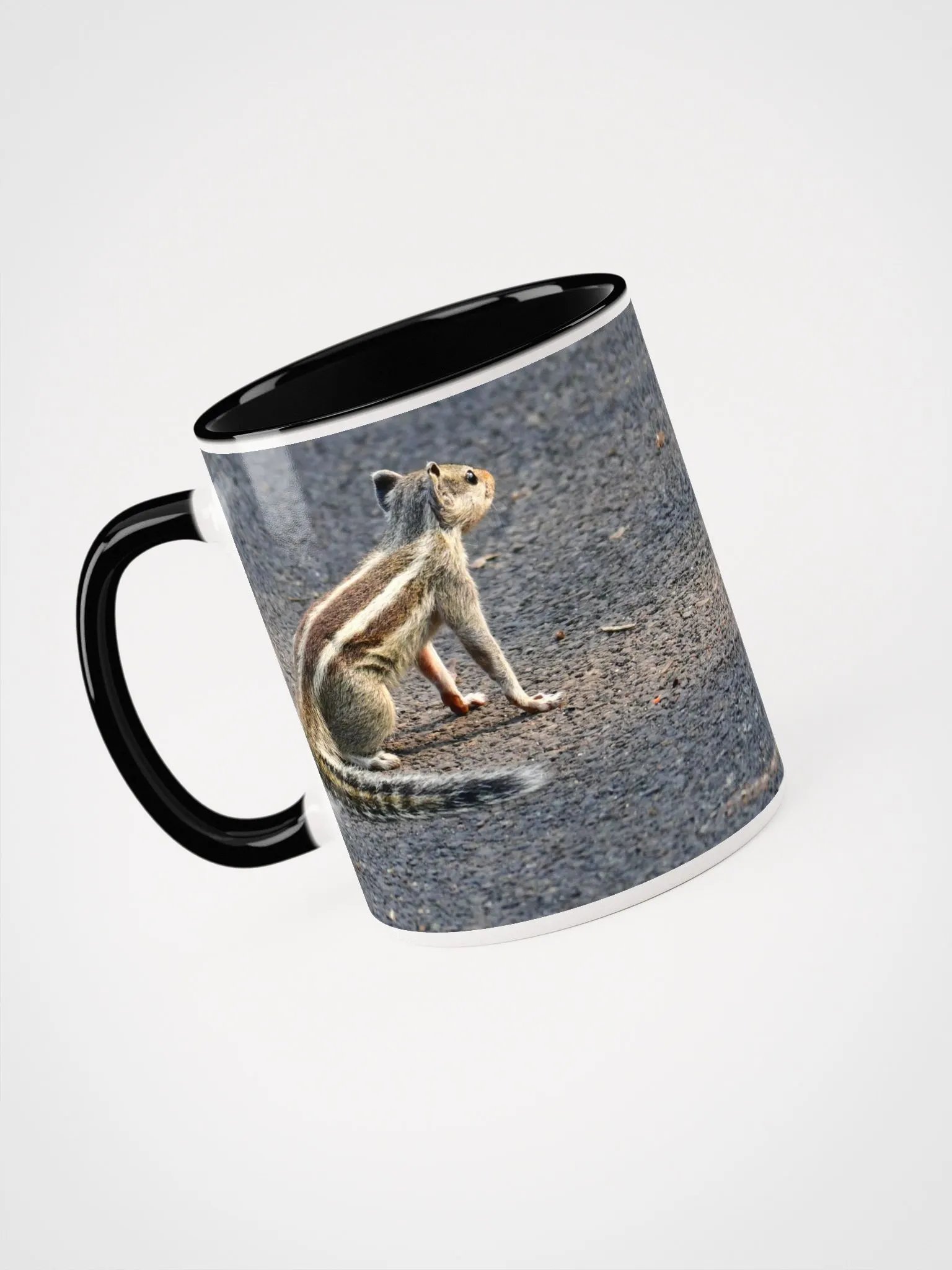 IUCAA Birds MUG product image (3)