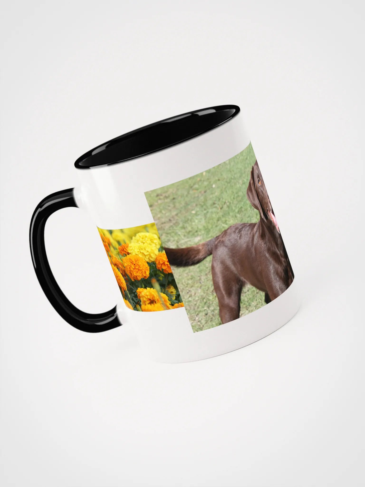 sunshine product image (14)