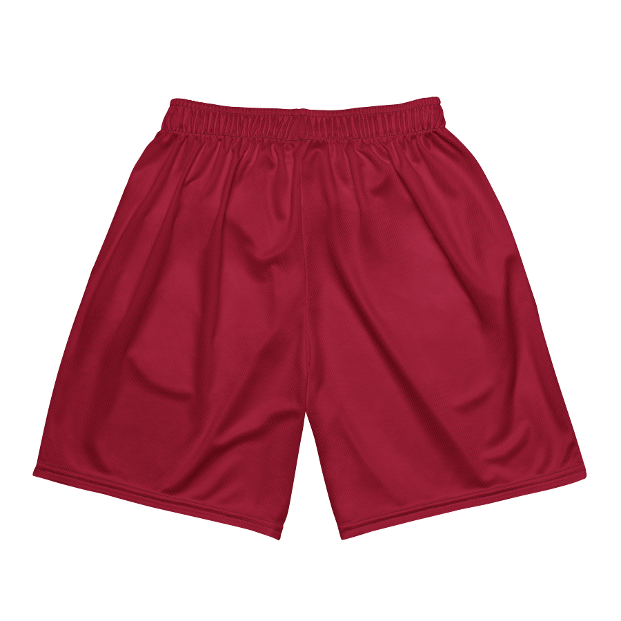 CS Shorts product image (5)