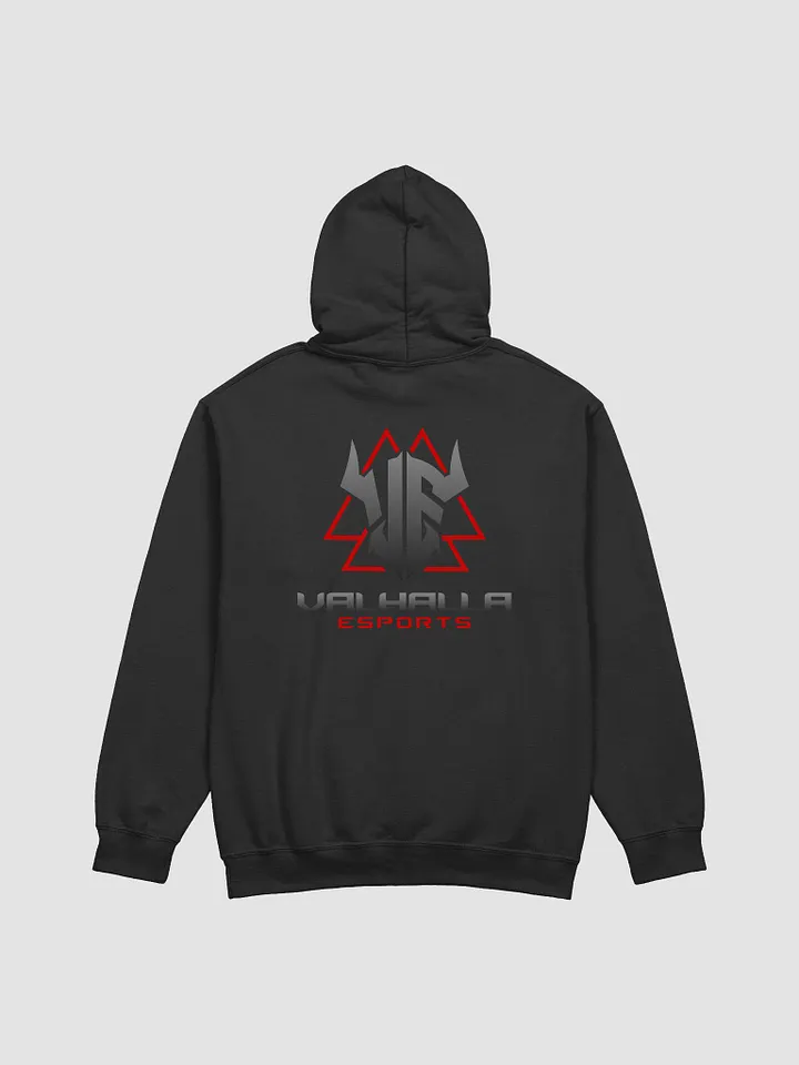 VE Back-Logo Hoodie product image (8)
