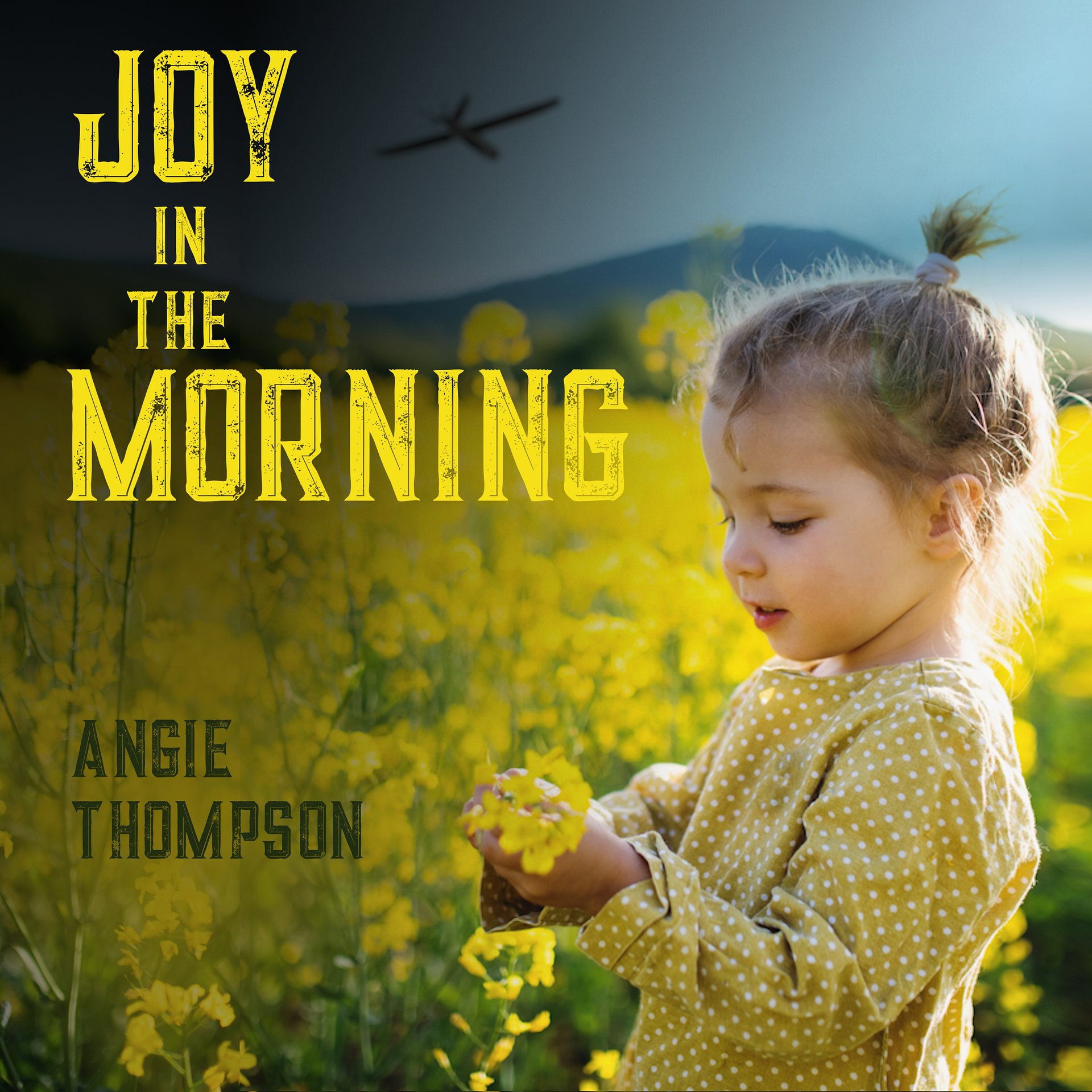 Joy in the Morning (Audiobook) product image (1)