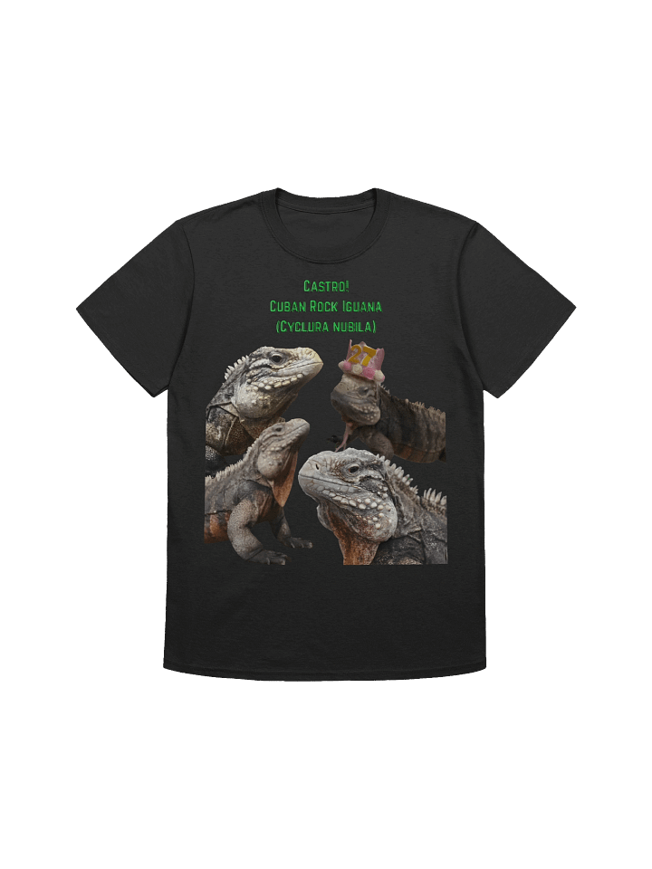 JBRW CASTRO TSHIRT 1 product image (1)