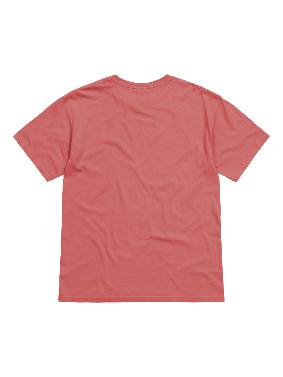 DSG T-shirt product image (20)