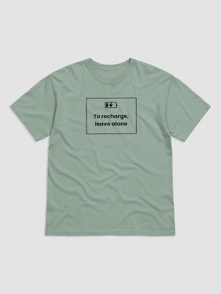 Embroidered T-Shirt - To Recharge, Leave Alone - Black product image (6)