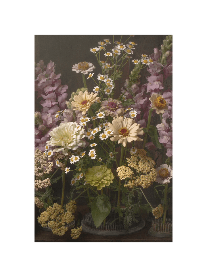 The Cottage Garden Fine Art Print product image (1)