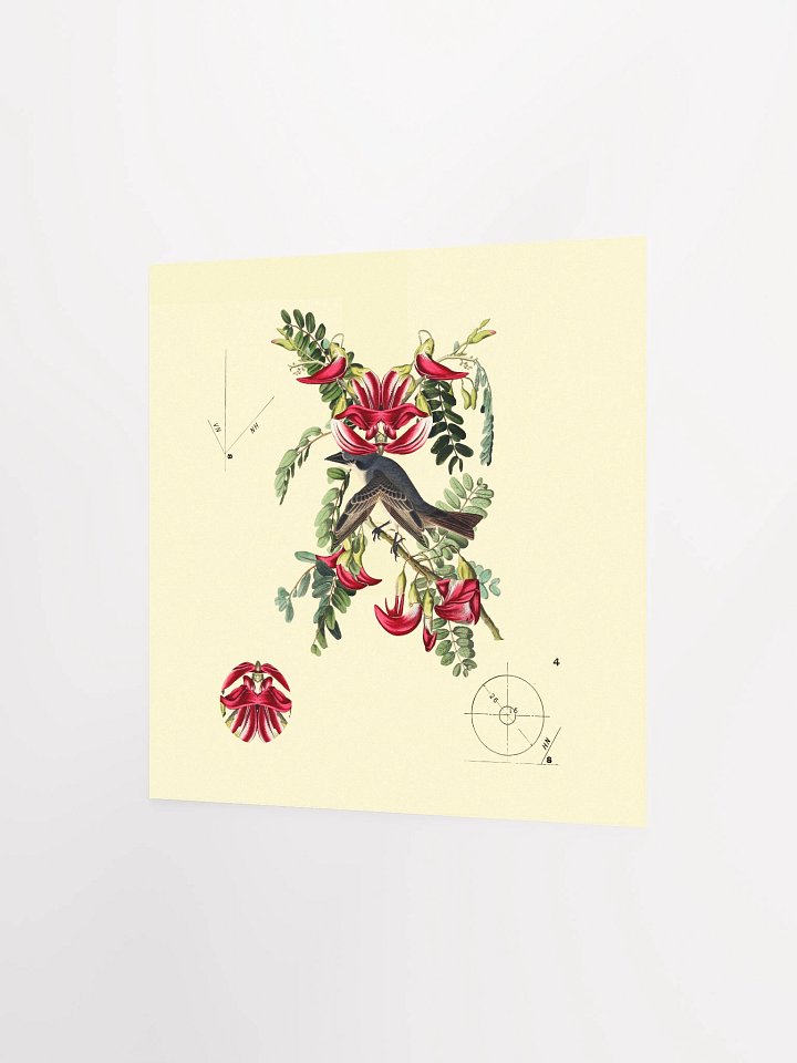 Bird Botanical Dadaism Poster product image (4)