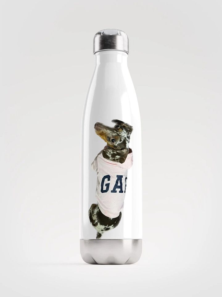 LuLu Sports bottle product image (1)