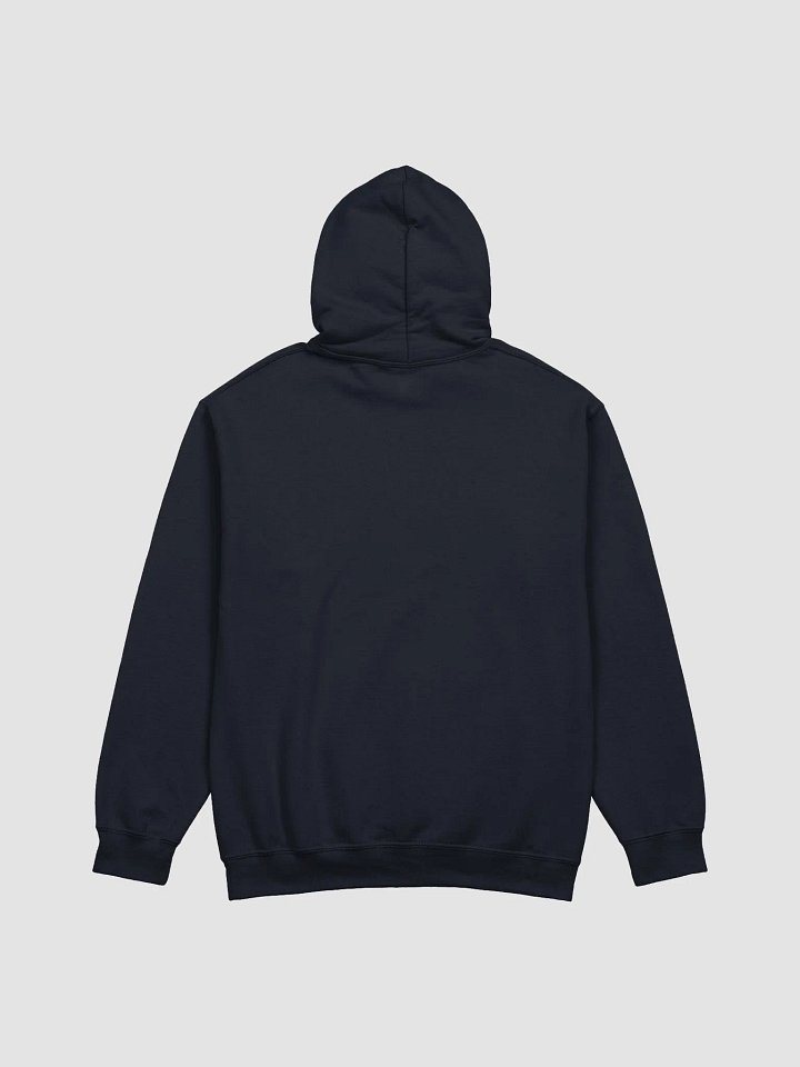 Jellyfish Dreams Art Hoodie product image (14)