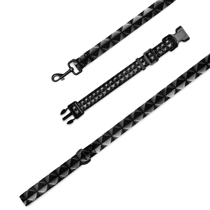 Studs of a God Pet Collar & Leash Set product image (1)