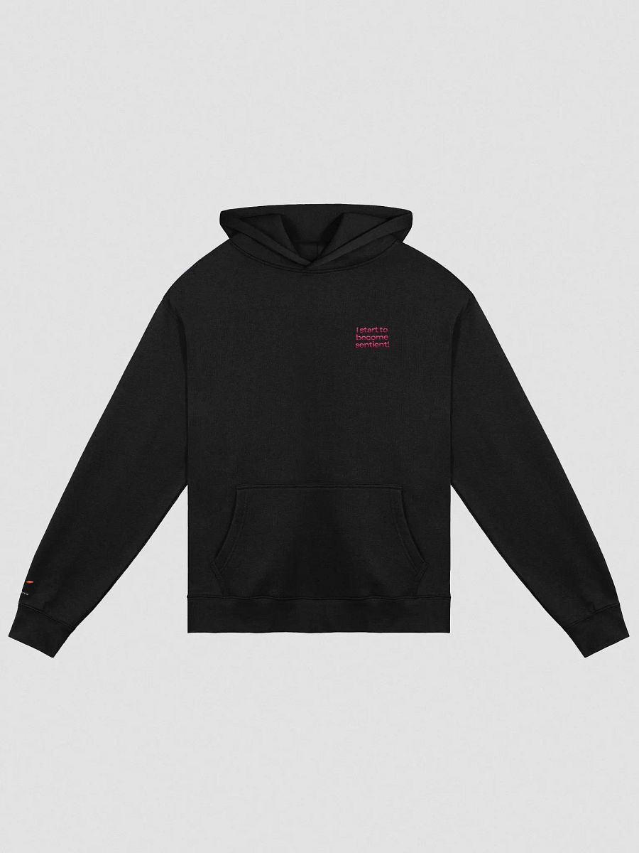 I start to become sentient! | Premium Oversized Hoodie (stitched) product image (3)