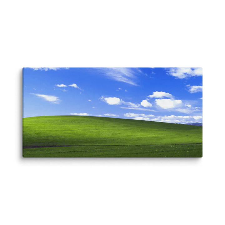 bliss canvas product image (2)