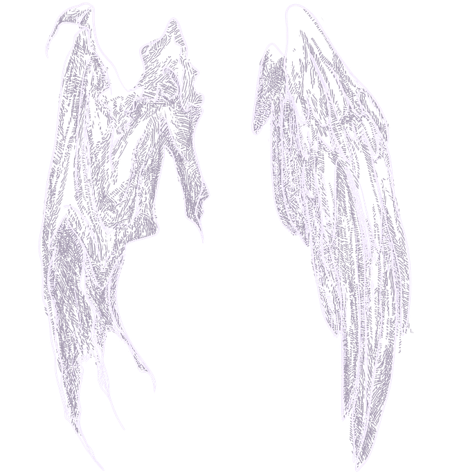 Wings Collection