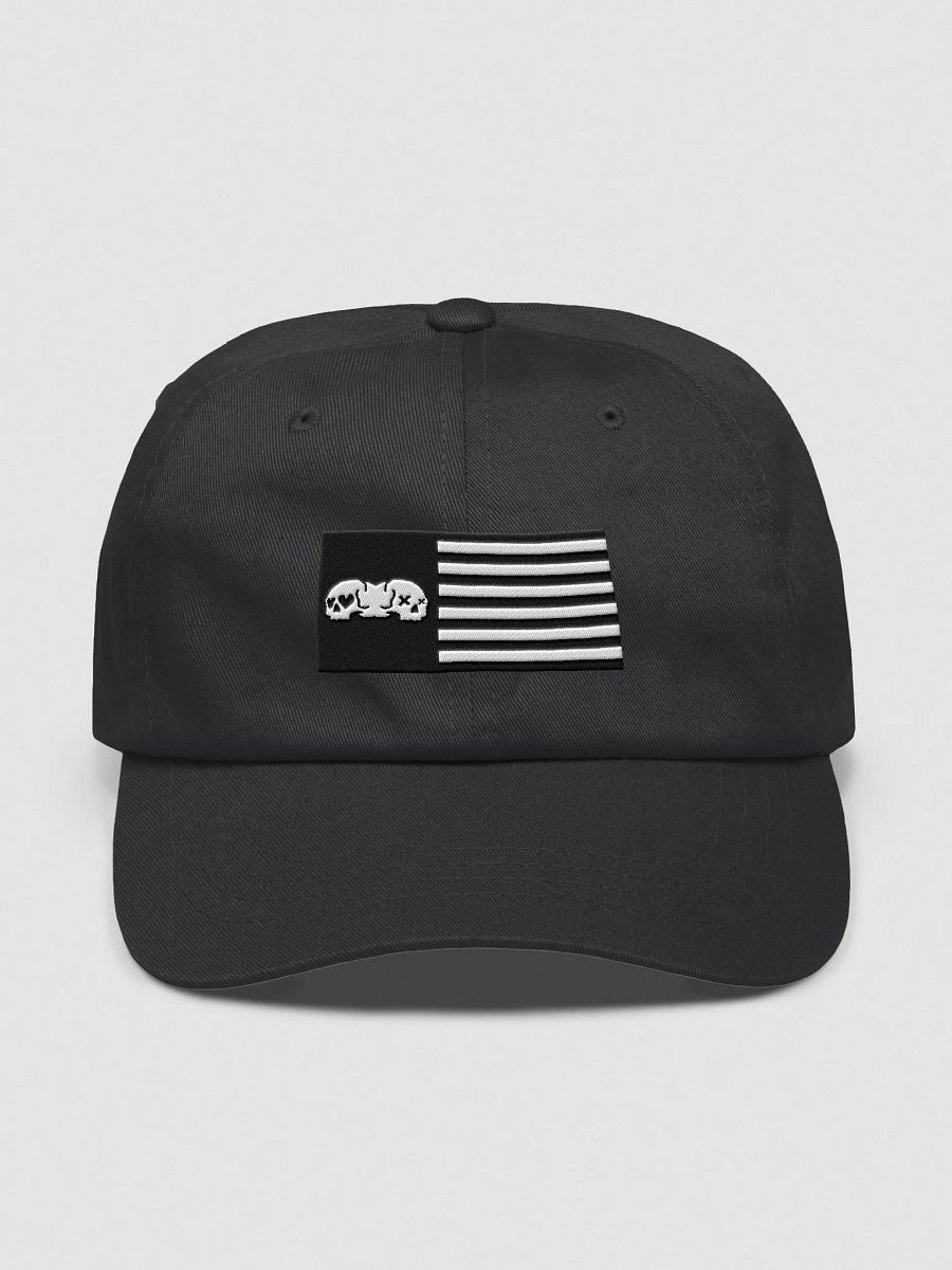 DL flag Dad Hat product image (1)