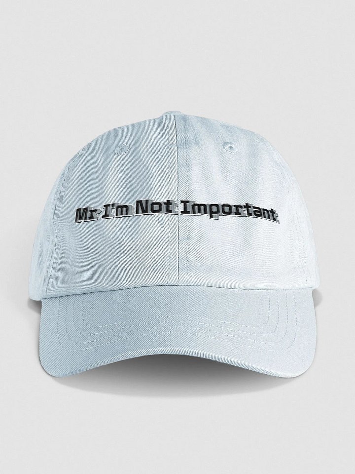 Pastel Dad Hat - Embroidered - Mr I'm Not Important product image (1)