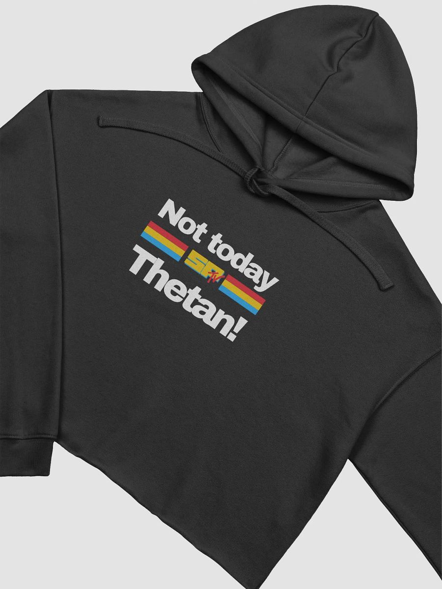 Not Today! SPTV Cropped Fleece Hoodie product image (12)