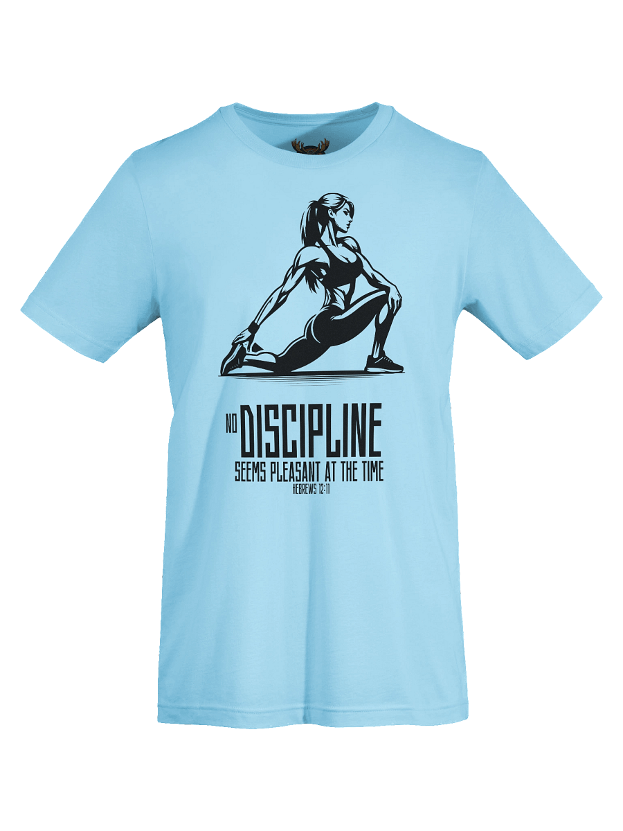 No Discipline Pleasant Woman Flex Tee product image (68)