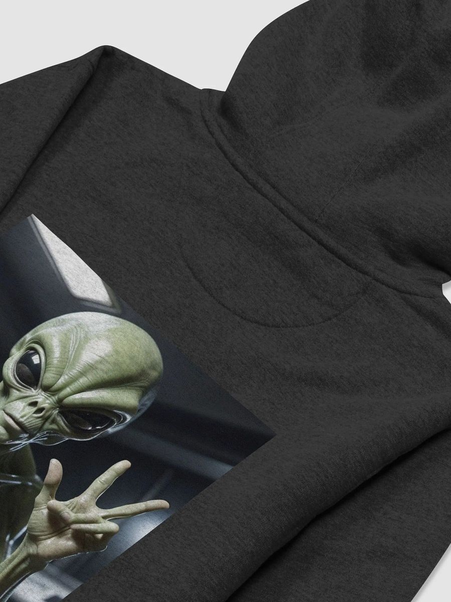 Grand Opening Series, Intergalactic Clothing Hooded Sweatshirt product image (4)